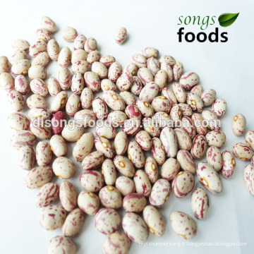 Haricots en gros, Haricots d&#39;importation